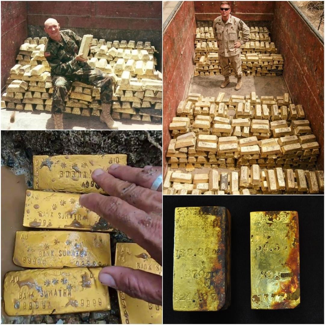 The Amazing Discovery: The Ocean Hunts 9,999 Abandoned Gold Bars from World War II